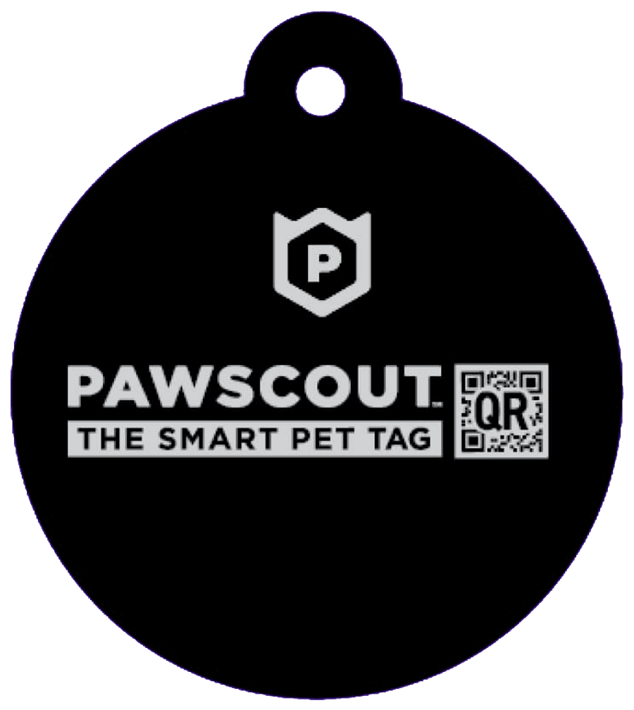 The Pawscout Tag: a round black tag with a QR code and a short code, with a split ring for the collar